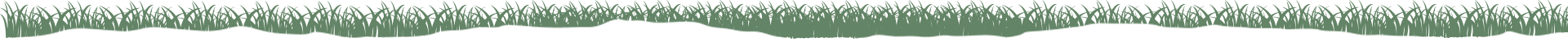 grass shape