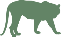 tiger shape