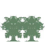 tree shape